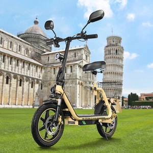 TWOFISH Elektroroller 48V13AH Mit Straßenzulassung14" Elektro-Roller Mit Sitz EU - Bild 1 von 8