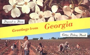 Postal de 1965 Greetings from Georgia Dogwood Cotton Picking Hands - Imagen 1 de 2