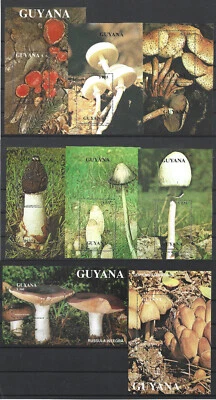 Guyana 1988, 1990, 1991 Mushrooms Collection of 8 MNH Souvenir Sheets HCV ! - Image 1 of 3