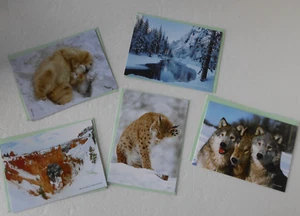 NATURE LOVERS GREETING BLANK CARDS 5 DESIGNS & GREEN ENVELOPS ~ NEW - Picture 1 of 7
