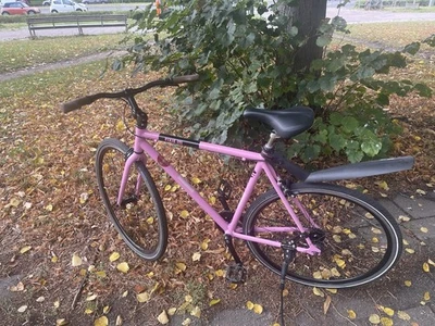 Singlespeed Fixie Rosa - Bild 1 von 4