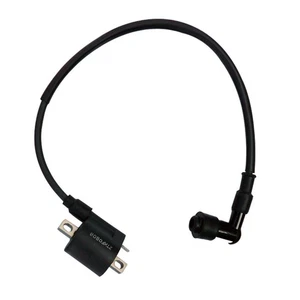 Ignition Coil For 50cc 90cc 110cc 125cc 150cc Taotao ATV Scooter PIT Bike Quad - Picture 1 of 5