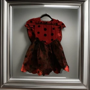 Girls ladybug costume with hat - 4T-5T - Picture 1 of 4