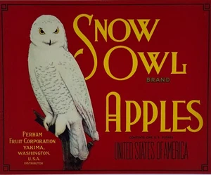 Etichetta cassa frutta marca gufo delle nevi 8,5 x 10,5 originale vintage anni 30 - Foto 1 di 3