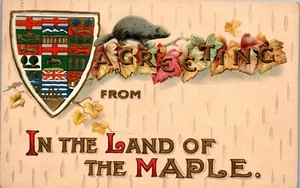 Vintage Postcard Greetings from Land of the Maple Canada Souvenir 1914 Embossed - Picture 1 of 3