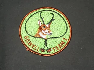 Insignia Madera Antílope Gilwell Equipo 1 Medallón Patrulla - Imagen 1 de 1