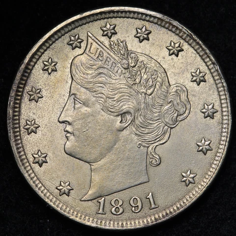1891 Liberty V Nickel CHOICE BU *UNCIRCULATED* MS E328 XCNM Cover