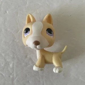 Littlest Pet Shop # 860 Crema Blanco Bull Terrier Perro Ojos Púrpura - Imagen 1 de 3