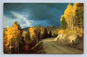 Aspen Time-New Mexico Postcard K-3 Unposted - Imagen 1 de 2