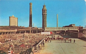 CHICAGO IL STOCKYARDS 1950s VINTAGE POSTCARD 100725 U - Picture 1 of 2