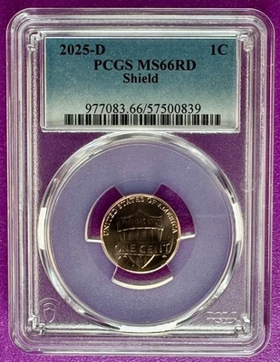 2025 D 1c Lincoln Shield centavo PCGS MS66RD (839) - Imagem 1 de 2