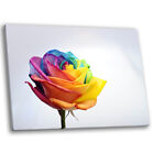 Framed Canvas Floral Modern Wall Art Picture Prints Single Rainbow Rose White