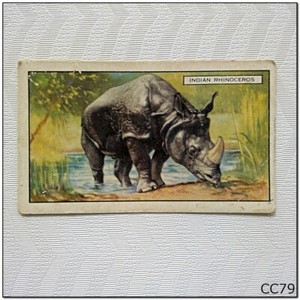 Gallaher Cigarette Card Wild Animals #18 The Indian Rhinoceros (CC79)