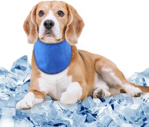 Collare Refrigerante Cane, Bandana Rinfrescante per Cani, Cooling Foulard per Ca - Foto 1 di 12