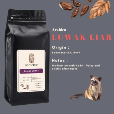 500 g de café Luwak Arábica Gayo 100 % civeta silvestre granos enteros café tostado Foto 1 de 4