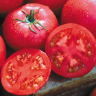 Eva Purple Ball Tomato Seeds | Heirloom | Organic