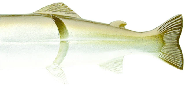 ✅ Castaic Ersatzkörper für Real Bait 12", verschiedene Farben ✅ - Bild 1 von 1