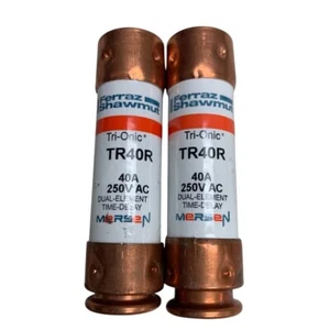 Lot of 2 New Open Box Ferraz Shamut Tri-onic Dual Element TR40R 40A Fuses - Picture 1 of 2