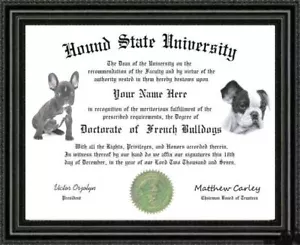 Diploma de Doctorado de Amante del Bulldog Francés / Grado Hecho a Medida y Diseñado para Ti - Imagen 1 de 1