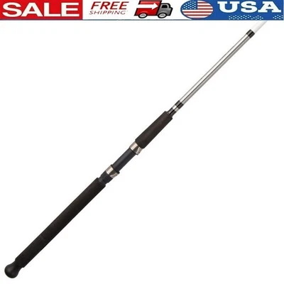 Alpha Bigwater 12ft Spinning Rod 2PC Durable Fishing Rod Medium Heavy 20-40lb US - Image 1 of 4