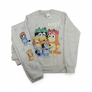 Adult Size XS   Bluey & Family Sweatshirt - NWT   *From Hot Topic* - Picture 1 of 7