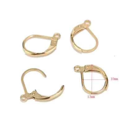 50 un. Acero Inoxidable 13x10mm Alambres Aro Pendiente Ganchos Franceses Foto 1 de 4