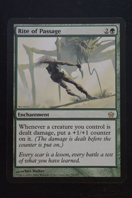 Magic The Gathering MTG RITE OF PASSAGE Fifth Dawn LP Lightly Played - Image 1 of 2