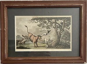 Thomas Rowlandson "Doctor Syntax Pursued By A Bull" 1st February 1819 - Picture 1 of 4