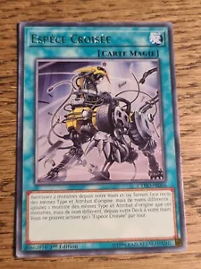 Cross Breed●YUGIOH●CYHO●2018●FRENCH●RARE●1st EDITION●NM #05281 - Picture 1 of 2