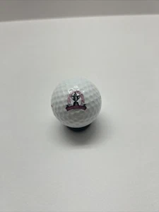 NEW 75th PGA Championship Whistling Straits - Spalding 2 - Collectible Golf Ball - Picture 1 of 3