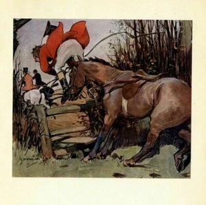 HUNTING FOX HORSE STOPS FOR FENCE CATAPULTING RED COAT HUNTER OFF HORSE HUNT FOX - Picture 1 of 1