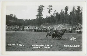 Bulldogging a Steer Custer Rodeo, Custer, Dakota del Sur 1946 RPPC - Imagen 1 de 2