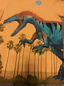 NWT carters dinosaur dragon shirt top 10 boys gaming birthdays easter Passover - Picture 1 of 5
