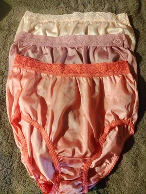 Lote De 3 Bragas Talla 6 Vintage Fruit of the Loom 100% Nylon con Etiquetas Encaje Ancho Foto 1 de 4