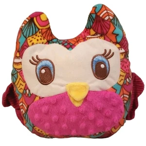 Girl Scouts 2016 Búho Celebrando 100 Años de GS Galletas Bolsillo Almohada Peluche - Imagen 1 de 3