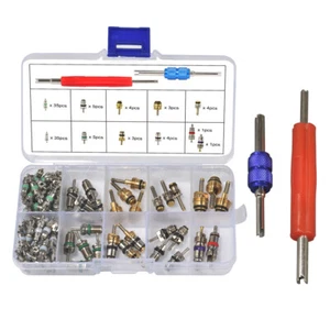 102pcs Car R12 & R134a A/C Air Conditioner Schrader Valve Core Remover Tool Kit - Picture 1 of 11