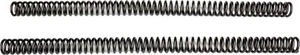 BBR 650-HCF-2505 Fork Springs - Bild 1 von 1