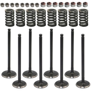 Intake Exhaust Valve Spring Kit For Kawasaki Brute Force 650 750 KVF650D 05-13 - Foto 1 di 9