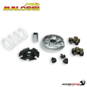 Malossi multivar 2000 variator for Derbi Rambla 250 ie 4T LC euro 3 - Picture 1 of 8