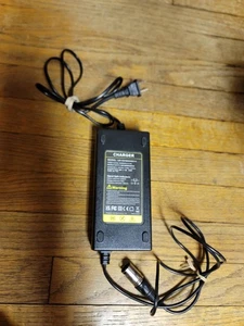 Elektrofahrrad Ebike Ladegerät LW-110/200/546/014 AC Eingang 100-240V DC schwarz - Bild 1 von 5