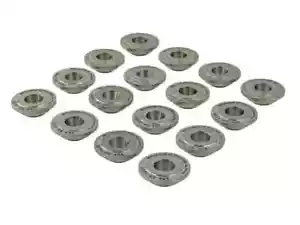 Skunk2 Alpha Titanium Retainer Set for Honda D-Series Engine - Picture 1 of 4