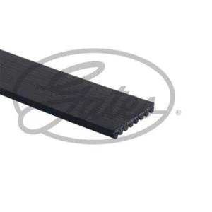 Cinghia trapezoidale Gates per BMW Serie 5 Touring G31 X5 F95 G05 F97 G01 Alpina XD3 - Foto 1 di 1