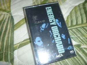 LOT CASSETTE TAPE RARE ENERGY ORCHARD 80s ALT ROCK LYRICS RARE SELF TITLED HYPE - Picture 1 of 5