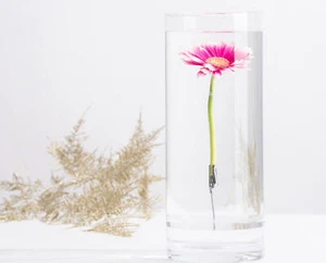 Versunkene Blumenvase mit Befestigungsclip unter Wasser für ihre Blumen - Bild 1 von 6