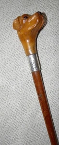 Edwardian Walking Stick / Cane Carved Labrador Dog Silver Collar Hallmarked 1908 - Picture 1 of 8