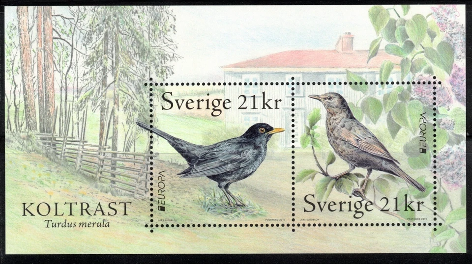 2019 瑞典欧罗巴 CEPT MNH s/s 鸟类 — 第 1/1 张图片