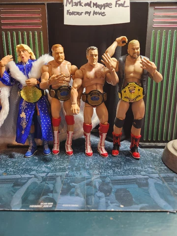 WWE MATTEL CUSTOM ULTIMATE EDITION 4 HORSEMEN. FREE SHIPPING Cover