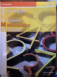 Strategies To Achieve Math Success, Series B Curriculum Associates 2010 - Picture 1 of 2