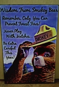 *WALDBRÄNDE VERHINDERN* SMOKEY BEAR ONLY YOU! BLECHSCHILD 8X12 US FOREST SERVICE - Bild 1 von 1