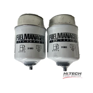 Fuel Manager water separator / Diesel Filter Element 30 Micron 31863 (2pk) - Picture 1 of 5
